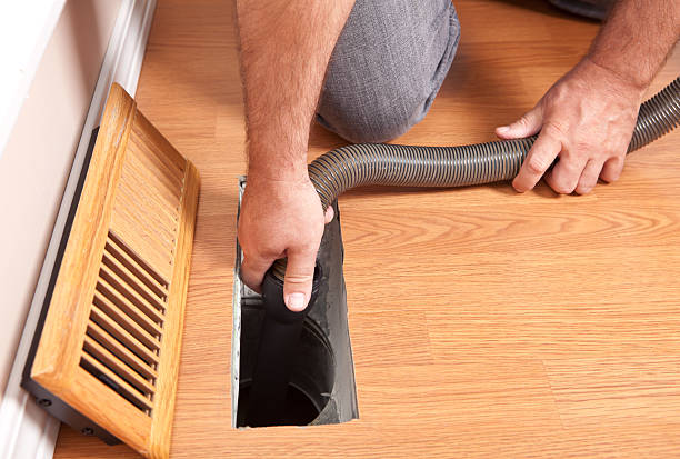 Best Duct Cleaning for Homes  in Las Lomas, TX